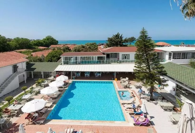 호텔 Clover Magic Nova Beach