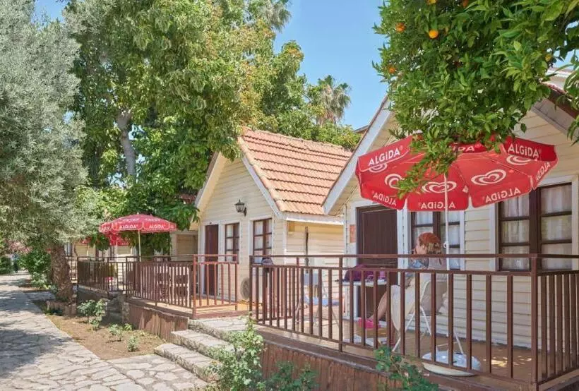 호텔 Clover Magic Nova Beach