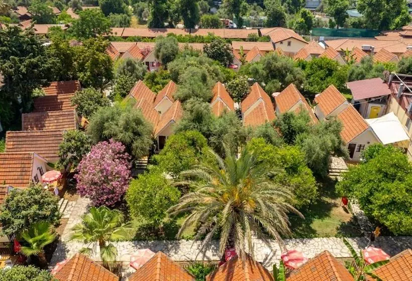 호텔 Clover Magic Nova Beach