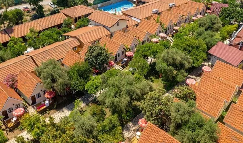 호텔 Clover Magic Nova Beach