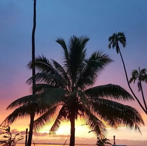 Отель Mango Bay Resort