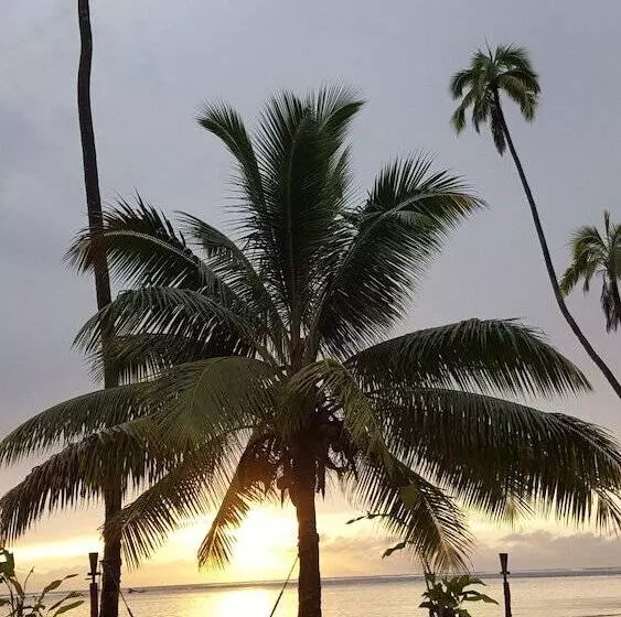 Отель Mango Bay Resort