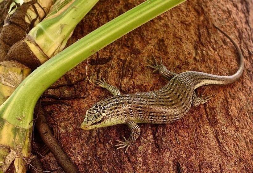 Отель Perhentian Island Resort