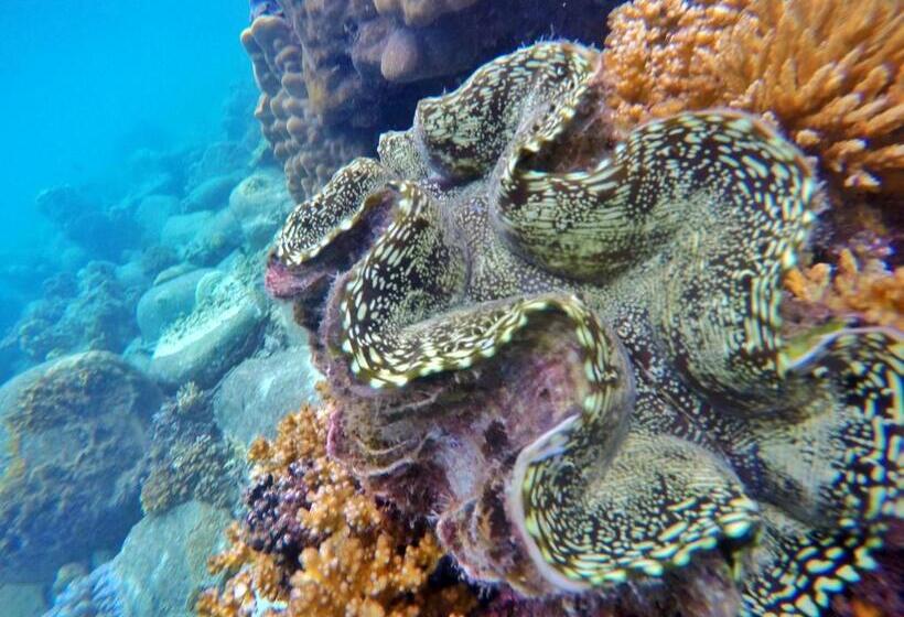 Отель Perhentian Island Resort