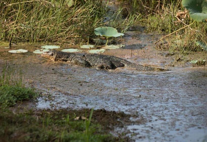 Отель Perhentian Island Resort