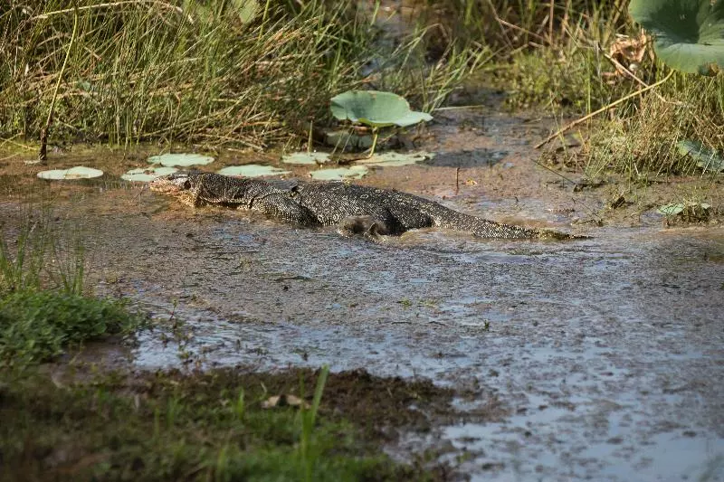 酒店 Perhentian Island Resort