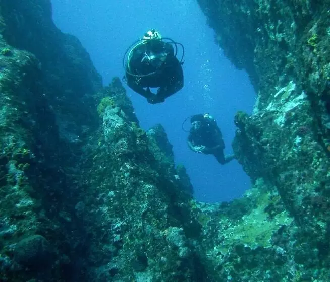 Residencia Del Paseo