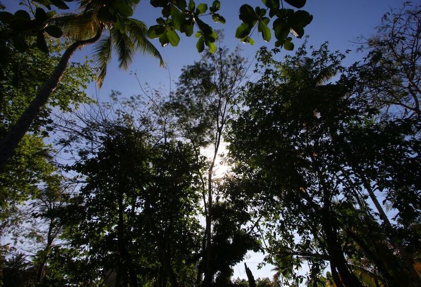 Residencia Del Paseo