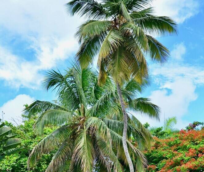 Residencia Del Paseo