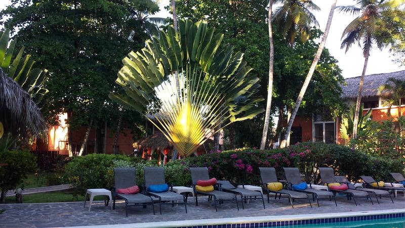 Residencia Del Paseo