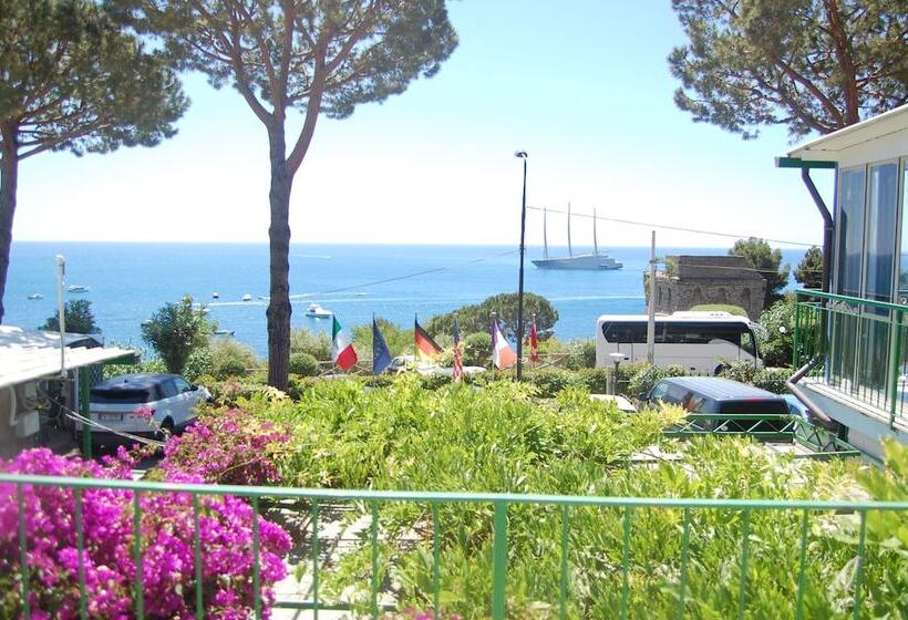 리조트 Camping Villaggio Nettuno