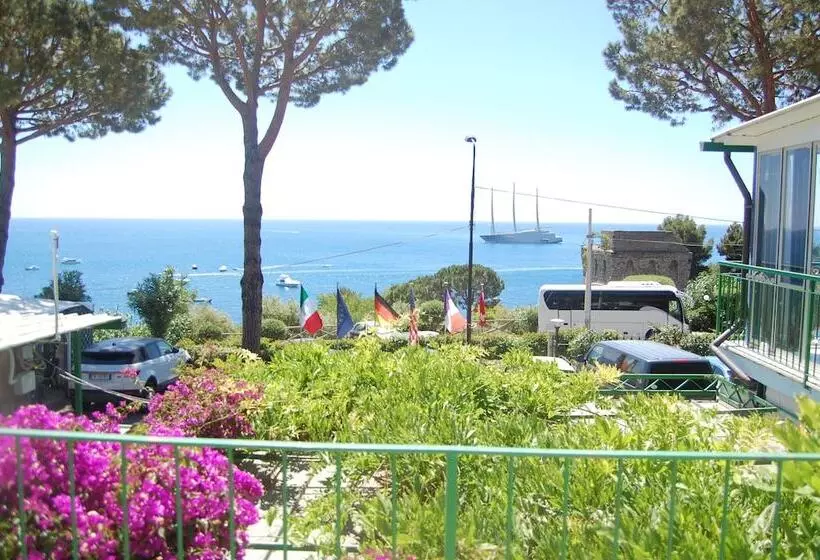 渡假胜地  Camping Villaggio Nettuno