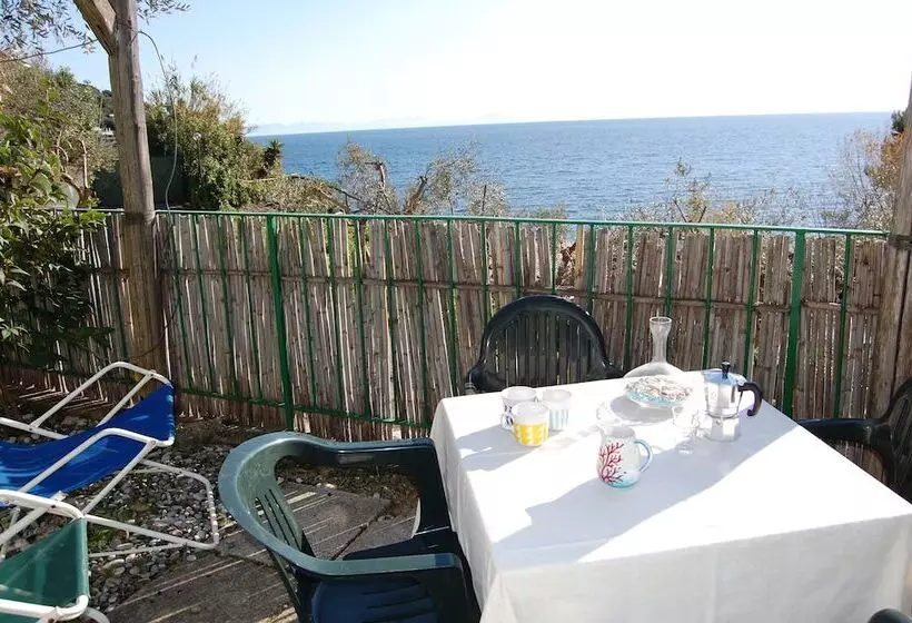 渡假胜地  Camping Villaggio Nettuno