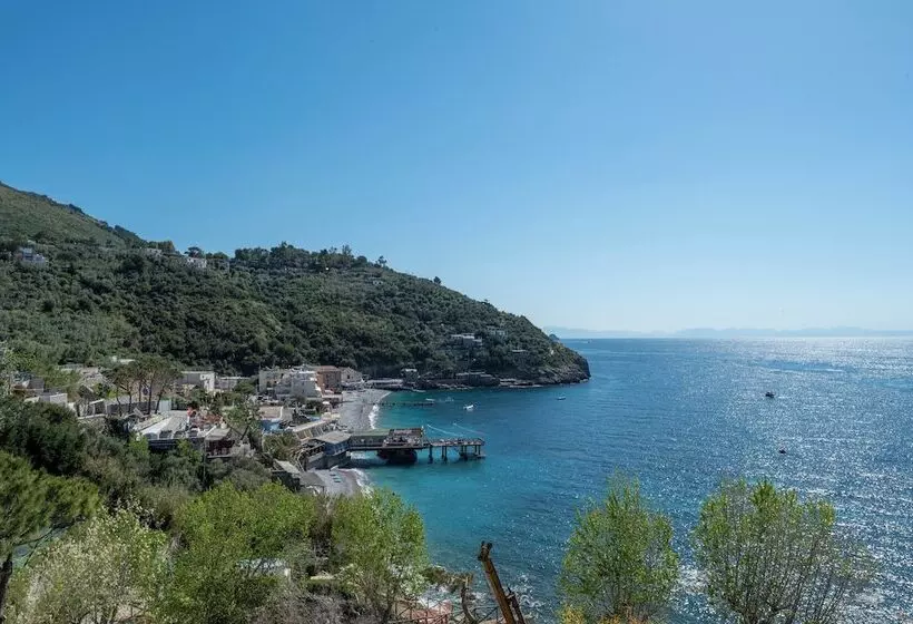 渡假胜地  Camping Villaggio Nettuno