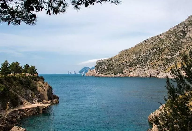 渡假胜地  Camping Villaggio Nettuno