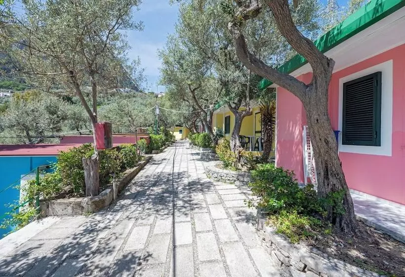 渡假胜地  Camping Villaggio Nettuno