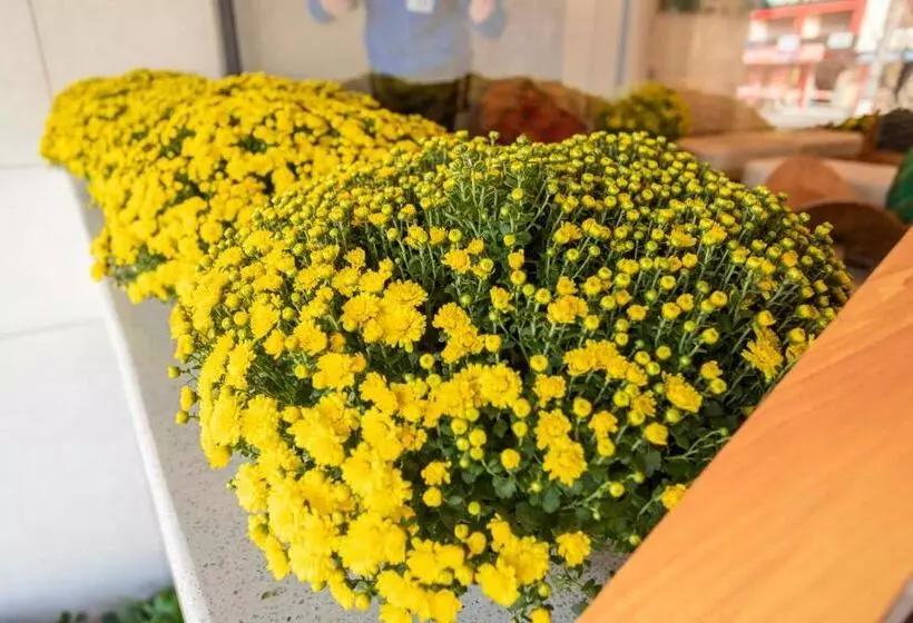 هتل Rivera Tuy Hòa