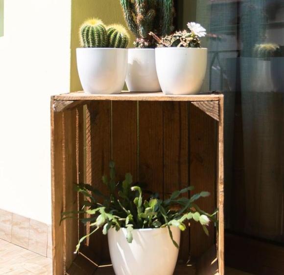 بنسيون B&b La Corte Della Nonna