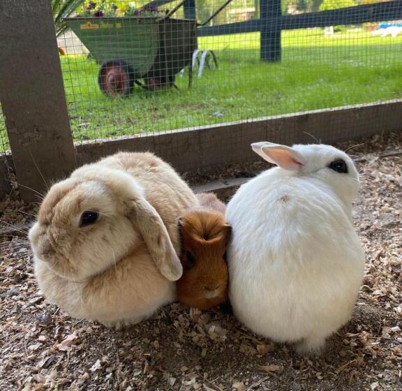 Hotelli Agroturismo Anziola