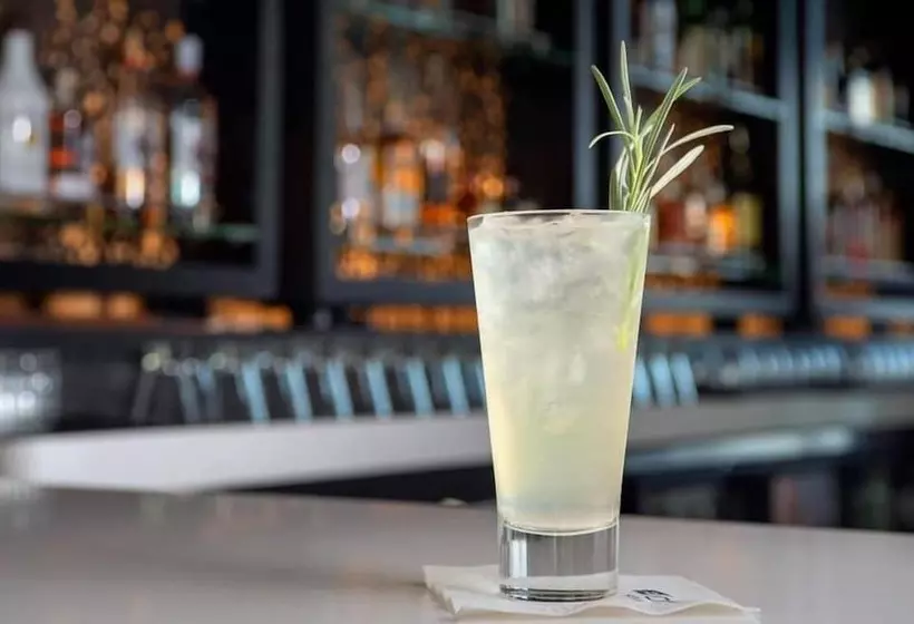 Hotelli Aloft Dallas Dfw Airport Grapevine