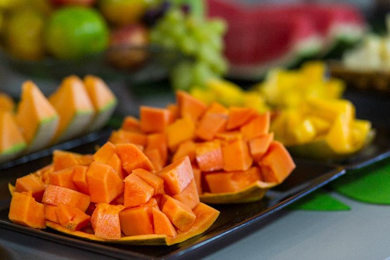 ペンション Pousada Maanaim Porto