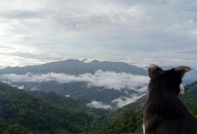 Пансион Valley View