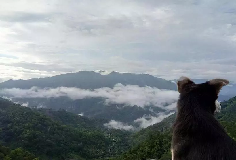 ペンション Valley View