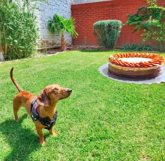 فندق Juan B Justo