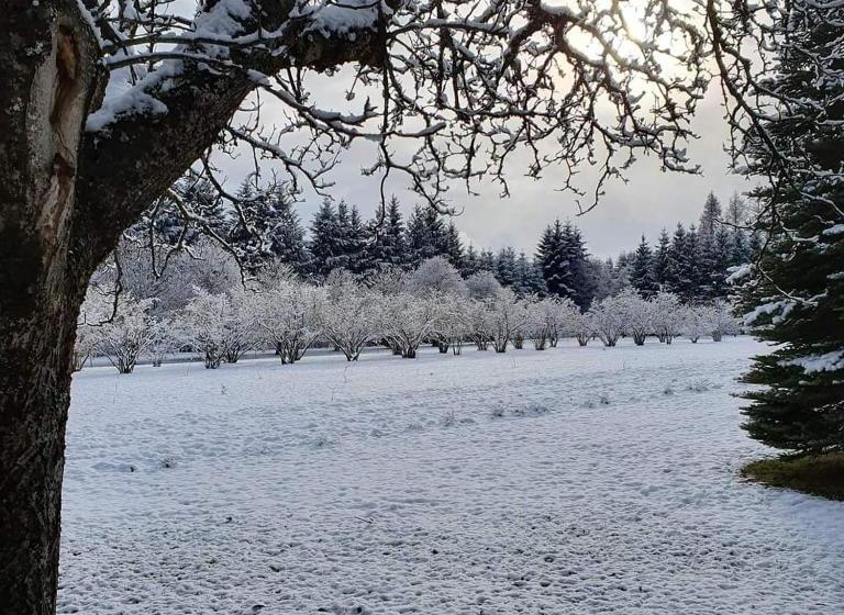 Linaje Hotel Boutique & Relax