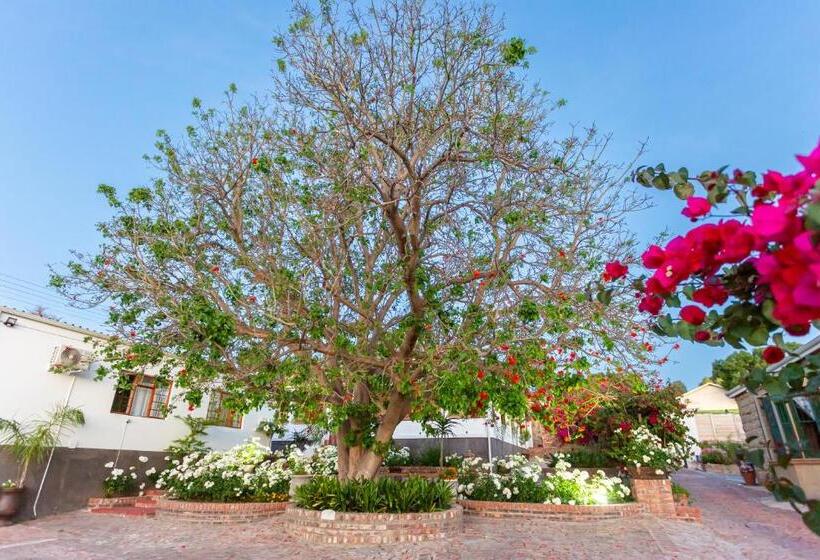 פנסיון Ravenscliff Manor