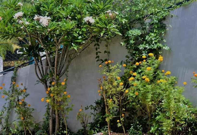 Bed and Breakfast Bellaxy Ceylon