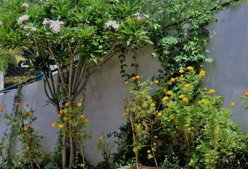 Aamiaismajoitus (B&B) Bellaxy Ceylon