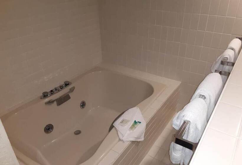 Eleven Boutique Hotel Llc