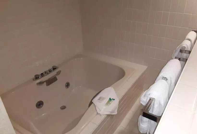 Eleven Boutique Hotel Llc