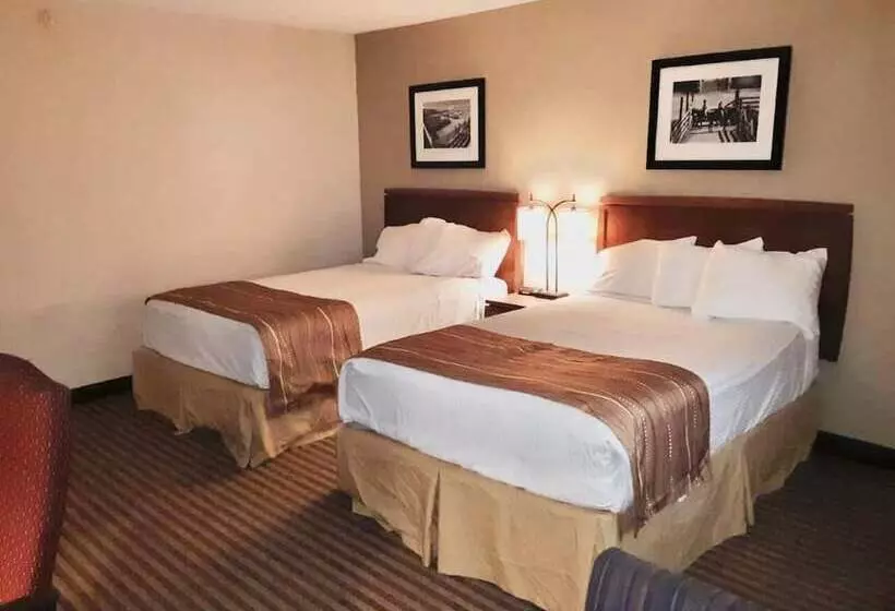 Eleven Boutique Hotel Llc