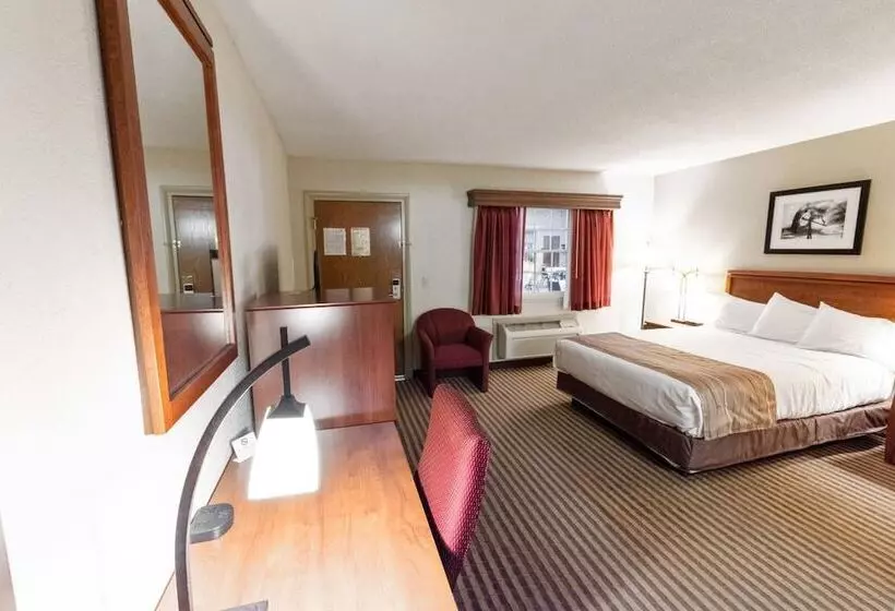 Eleven Boutique Hotel Llc