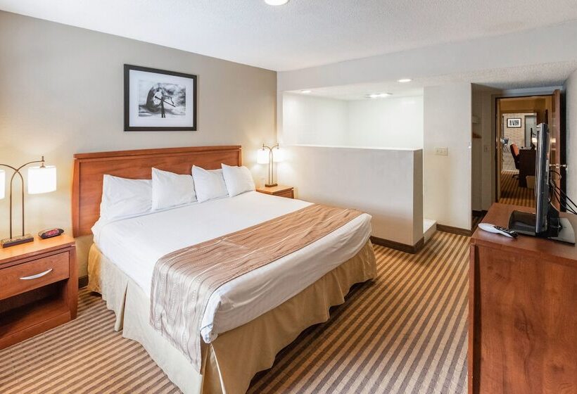 Eleven Boutique Hotel Llc