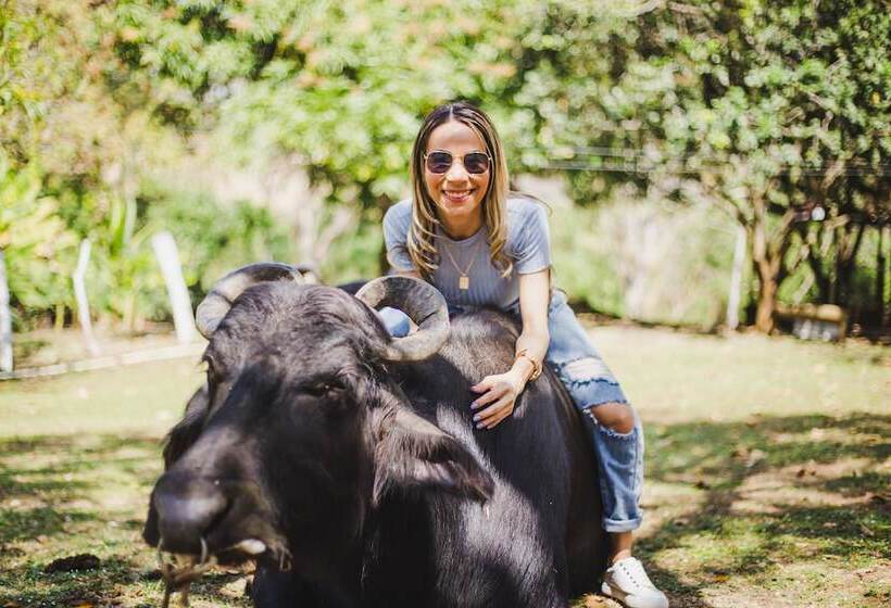 فندق Campestre Villa Martha