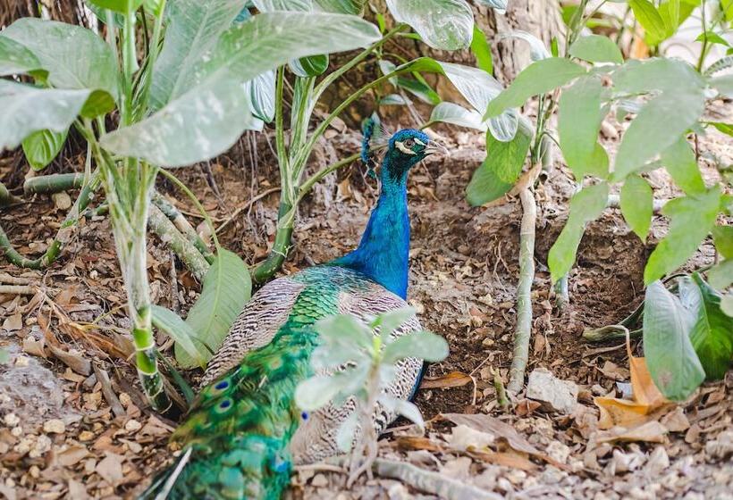 فندق Campestre Villa Martha