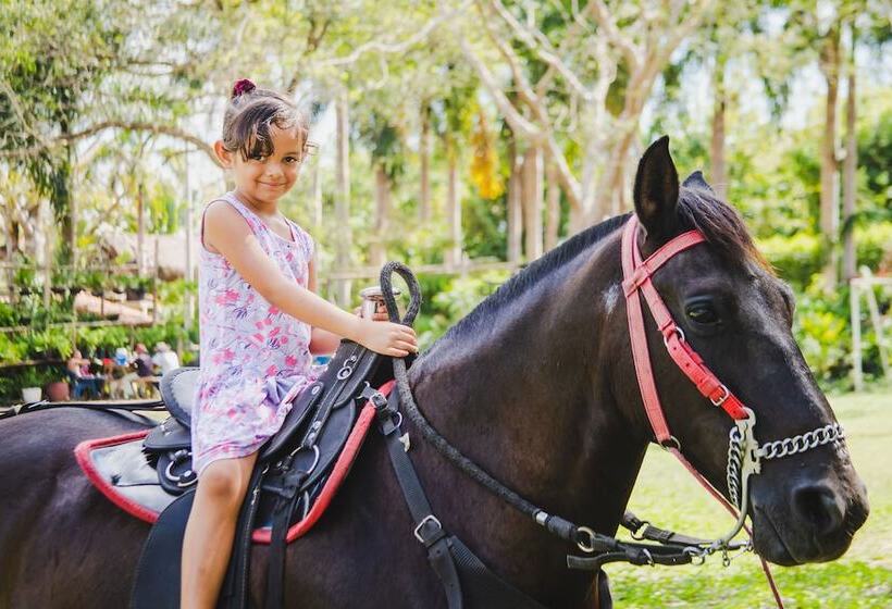 فندق Campestre Villa Martha