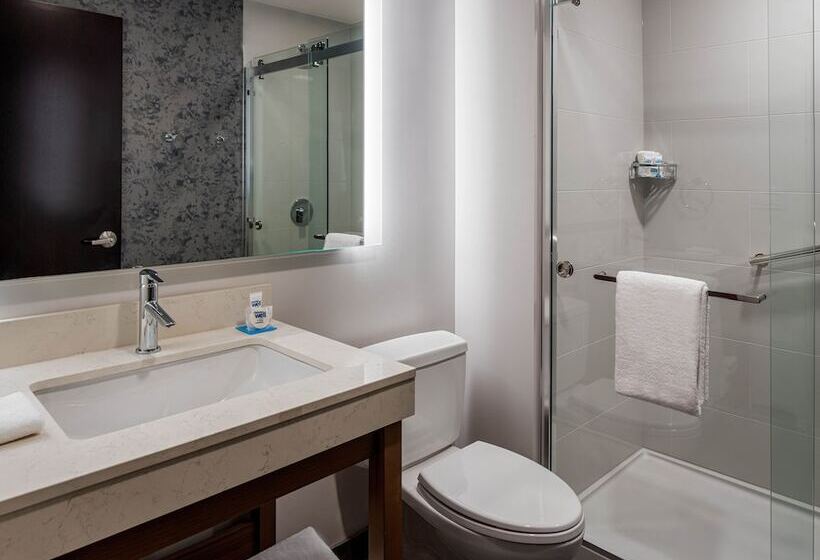 בית מלון כפרי Hyatt House Tampa Downtown