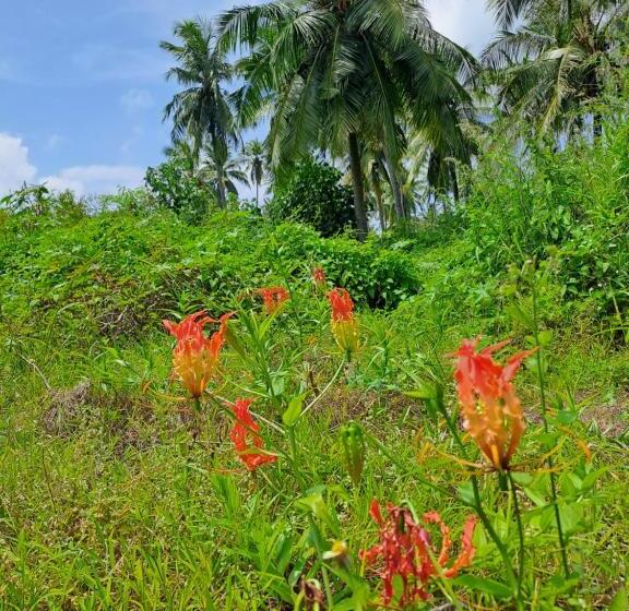 هتل Summer Sky Thoddoo