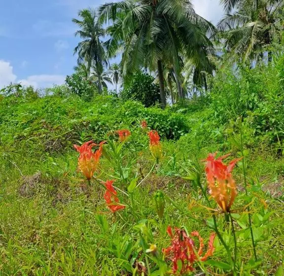 هتل Summer Sky Thoddoo