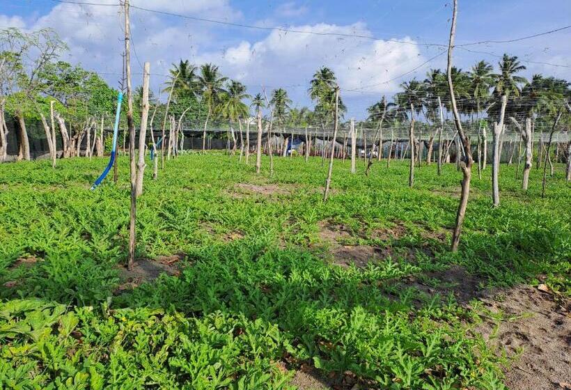 هتل Summer Sky Thoddoo