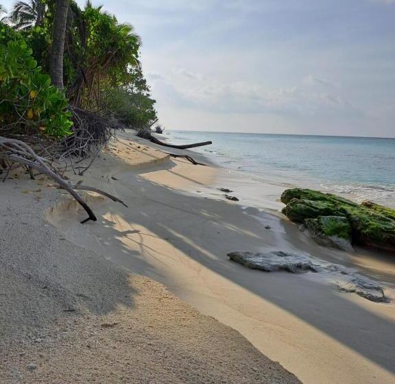 هتل Summer Sky Thoddoo