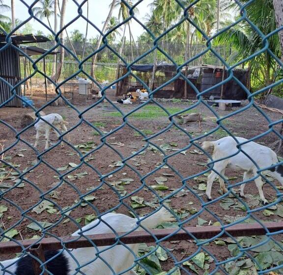 هتل Summer Sky Thoddoo