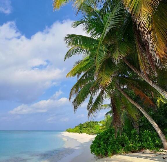 هتل Summer Sky Thoddoo