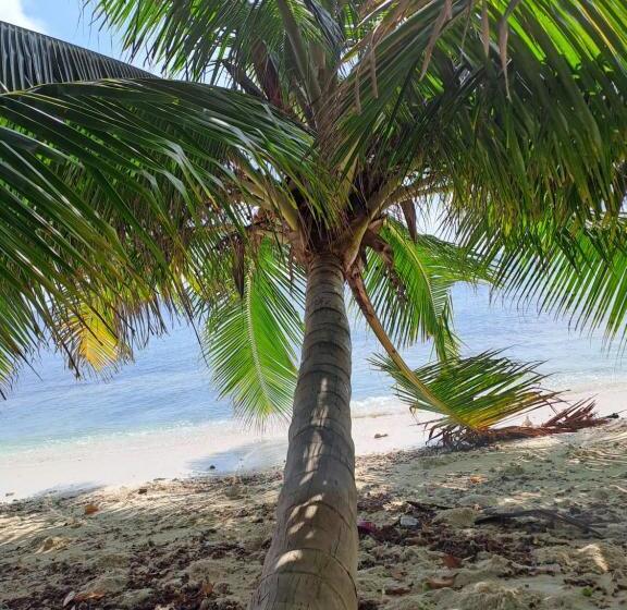 هتل Summer Sky Thoddoo