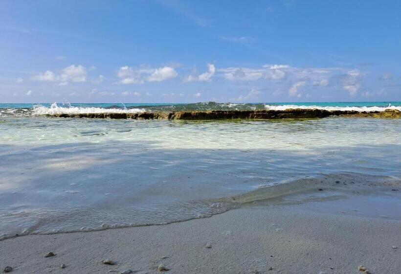 هتل Summer Sky Thoddoo