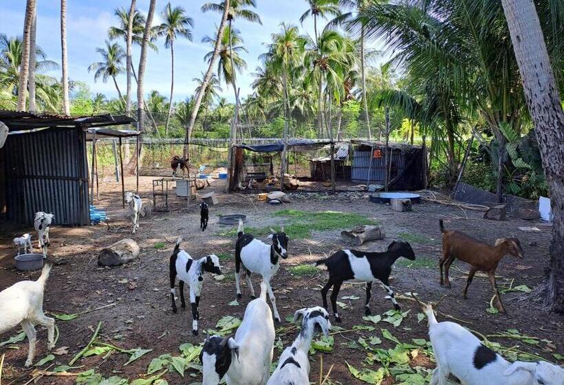 هتل Summer Sky Thoddoo